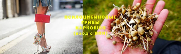 МДПВ Аркадак
