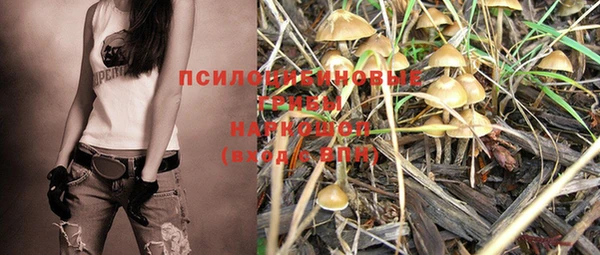 меф Ельня