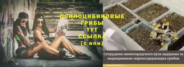 PSILOCYBIN Арсеньев