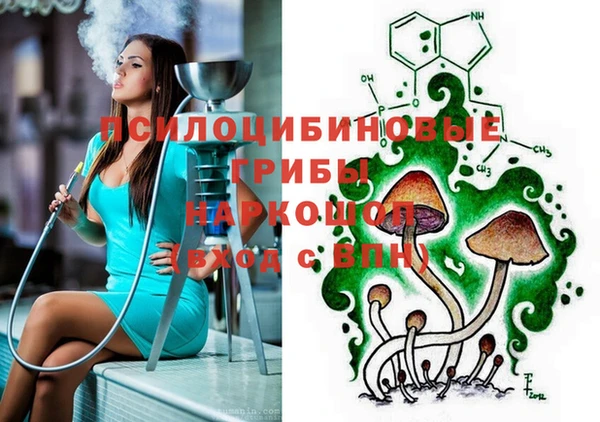 МДПВ Аркадак