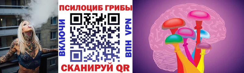 Галлюциногенные грибы Psilocybe  цена наркотик  omg ссылки  Сибай 